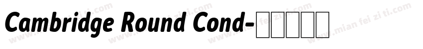 Cambridge Round Cond字体转换